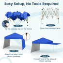 14 x 9.2 Feet Pop up Canopy Tent with 2 Convertible Sidewalls to Awning and Stakes