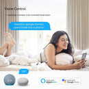 Smart WiFi Curtain Robot Electric Curtain Opener