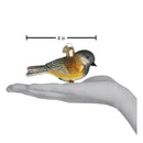 Black-capped Chickadee