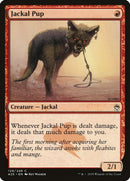 Jackal Pup | 139 | Masters 25