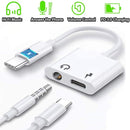 Type C to 3.5mm DAC Adapter Cable