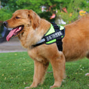 Personalize Dog Harness Dog Name