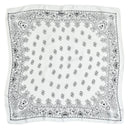 Women's Paisley 70cm Professional Scarf