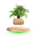 Magnetic Floating Bonsai Plant Rack Creative Gift