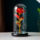 Gold Foil Rose Preserved Flower Gift Glass Cover