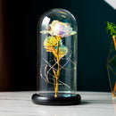 Gold Foil Rose Preserved Flower Gift Glass Cover