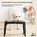 GBruno Dog Raised Bowls