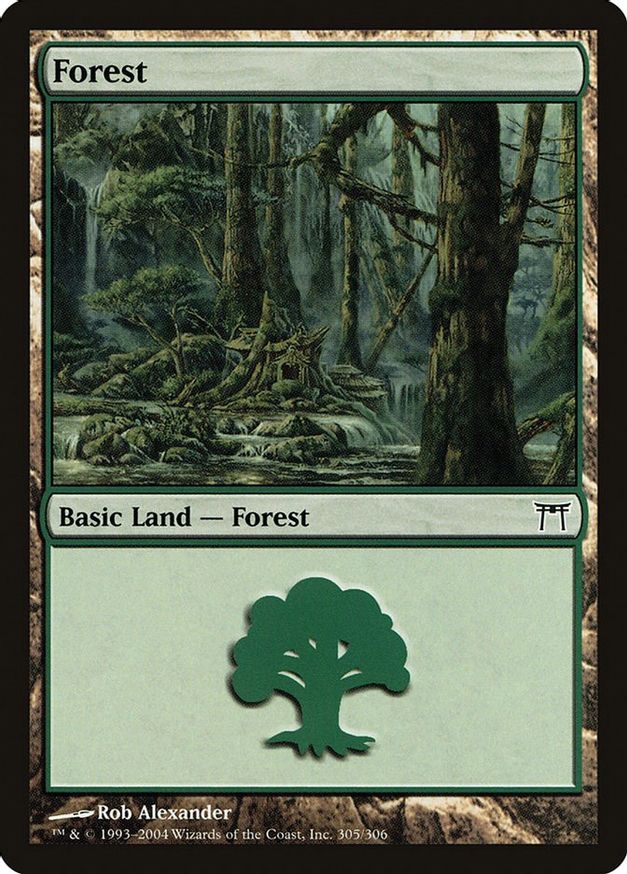 Forest (305) | Ravnica: City of Guilds