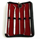 5pc Stainless Steel Dental Tool Kit Tooth Scraper Picks Mirror Oral Care Set