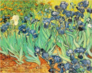 Best Pictures DIY Digital Oil Painting