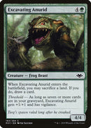 Excavating Anurid | 163 | Modern Horizons