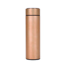 Stainless Steel Insulated Bottle with Temperature Display