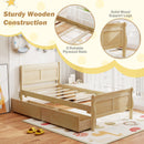 Twin Size Sleigh Bed with 2 Storage Drawers Wood Platform Bed Frame