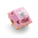 Salmon Tactile Switch