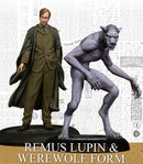 Harry Potter Miniatures Adventure Game: Remus Lupin & Werewolf Form Pack