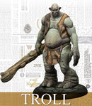 Harry Potter Miniatures Adventure Game: Troll Adventure Pack