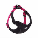 Dog leash collar walking dog leash