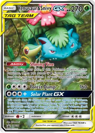 Venusaur & Snivy GX SM229/248 - SM Promos Holofoil