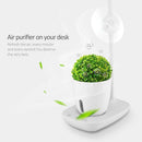 Intelligent Plant Growth Box with Table Lamp