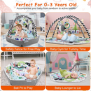 GBruno  4 In 1 Baby Gym Play Mat