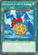 Medallion of the Ice Barrier | SDFC-EN030