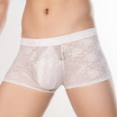 High Elastic Transparent Lace Sexy Boxer Briefs
