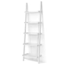 5-Tier Wall-leaning Ladder Shelf Display Rack for Plants and Books