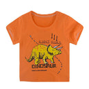 Boys short sleeve T-shirt