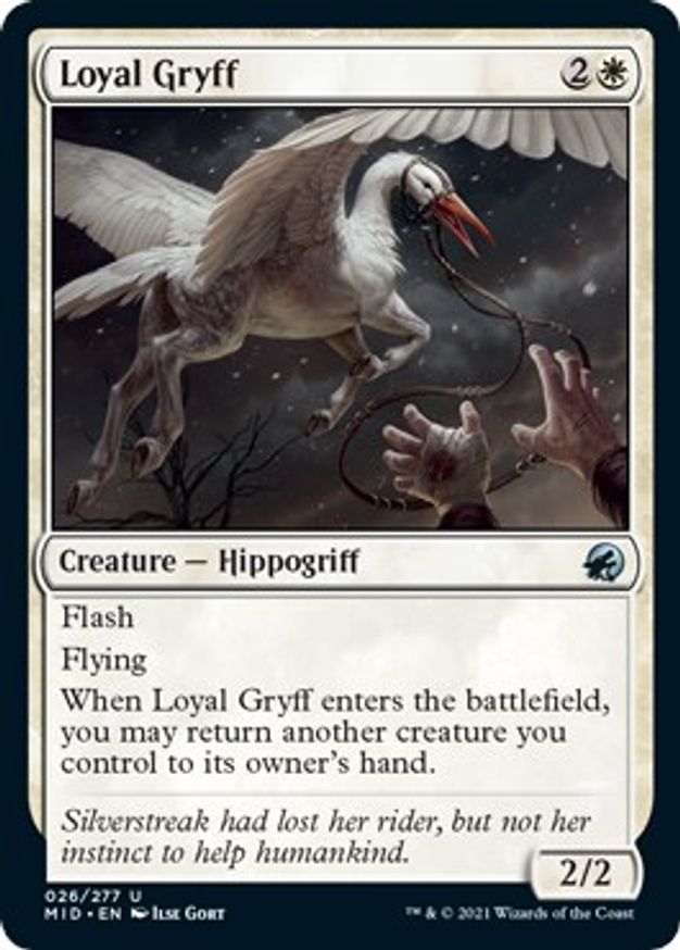 Loyal Gryff | 26 | Innistrad: Midnight Hunt