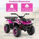 24V Electric Ride On Quad with LED Headlights
