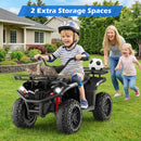 24V Electric Ride On Quad with LED Headlights