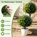 Artificial Cypress Topiary Trees 27.5" with Ground Spikes Set of 2