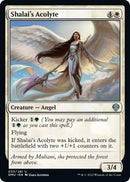 Shalai's Acolyte | 33 | Dominaria United