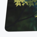 Riverland Playmat