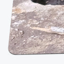 Frog Basking in Sunlight Oversized Playmat