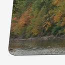 Autumn's Progress Playmat