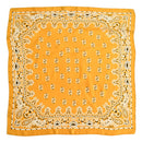 Women's Paisley 70cm Professional Scarf