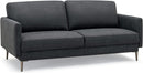 Modern Loveseat with Comfy Backrest Cushions