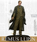 Harry Potter Miniatures Adventure Game: Remus Lupin & Werewolf Form Pack