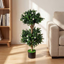 2 Pack 36" Artificial Double Ball Boxwood Topiary Tree with 41 Blossoms