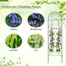 2 Pack 71 x 20 Inch Metal Garden Trellis Rustproof Plant Support for Climbing Plants