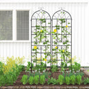 2 Pack 71" x 20" Metal Garden Trellis for Outdoor Climbing Plants