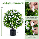 Artificial Eucalyptus Topiary Trees with Cement Planter (2-Pack)