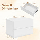 Wall Mounted Floating Nightstand with 2 Drawers