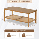 2-Tier Boho Coffee Table with Rattan Storage Shelf