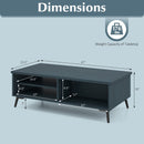 2-Tier Mid Century Modern Coffee Table with Storage Shelves Compartments