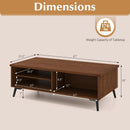 2-Tier Mid Century Modern Coffee Table with Storage Shelves Compartments