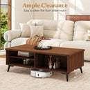 2-Tier Mid Century Modern Coffee Table with Storage Shelves Compartments
