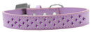 Dog, Puppy & Pet Fashion  Collar, "Purple Crystal Rimsets Sprinkles"