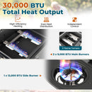 30 000 BTU Outdoor Burner Propane Gas Grill on Wheels-Black